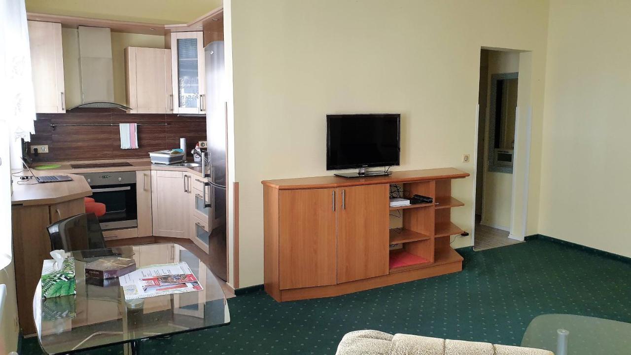 Spa Apartment Raisova Karlovy Vary Bagian luar foto