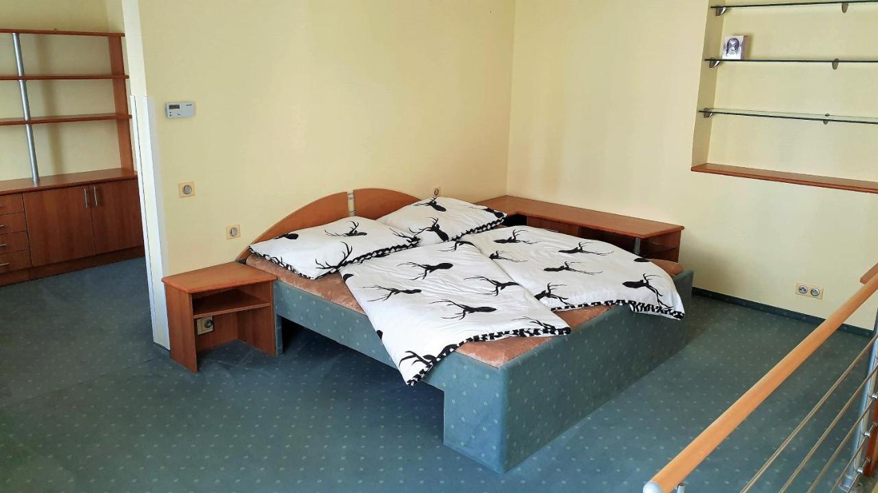 Spa Apartment Raisova Karlovy Vary Bagian luar foto